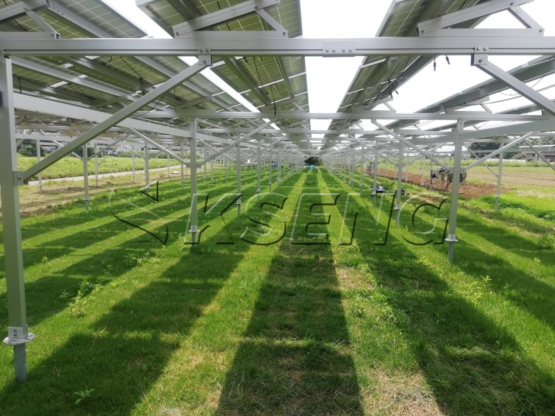 보완적인 농업 태양광 시스템에 대한 기사
