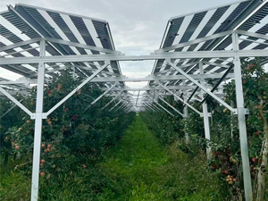 독일 3MW 태양광 농장 농업용 브래킷 프로젝트